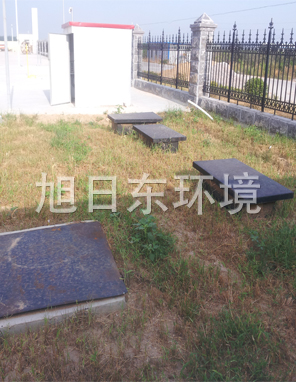 案例展示一